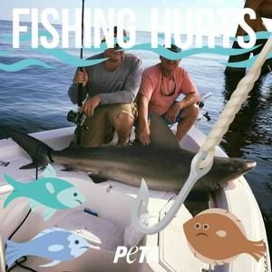 Meet your Posher, Caleb